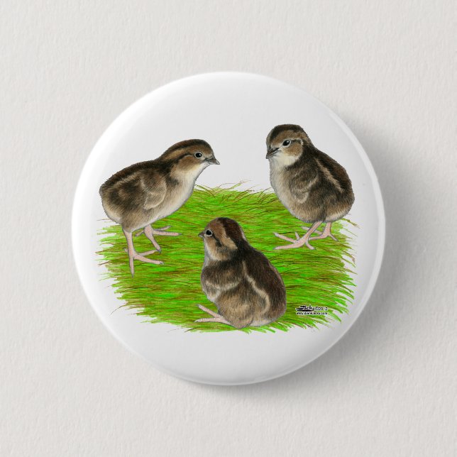 Badge Rond 5 Cm Jeunes cailles de Bobwhite (Devant)