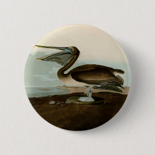 Badge Rond 5 Cm John James Audubon Peinture Pélicane Brown
