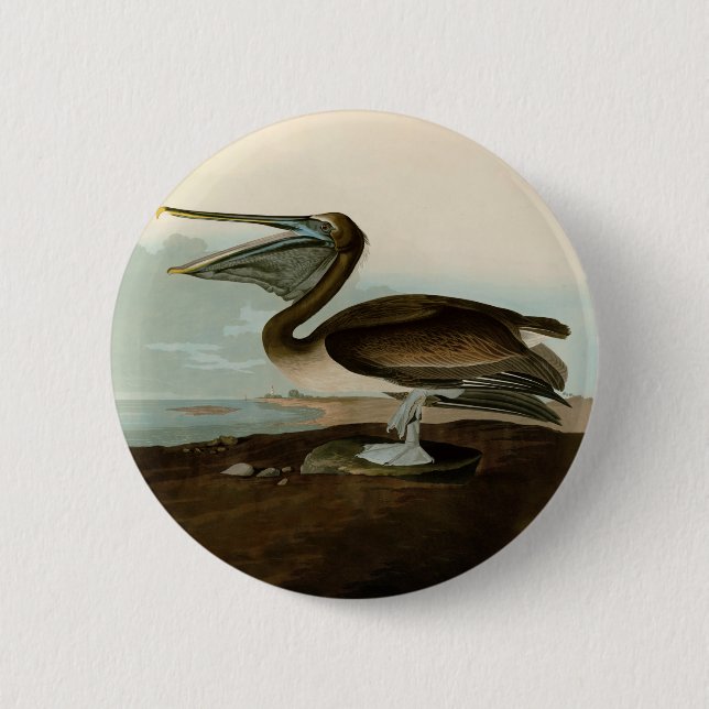 Badge Rond 5 Cm John James Audubon Peinture Pélicane Brown (Devant)