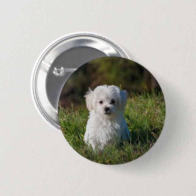Badge Rond 5 Cm Joli chiot blanc (Devant & derrière)