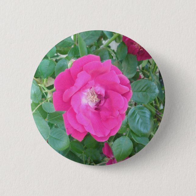 Badge Rond 5 Cm Joli En Fleur Rose (Devant)