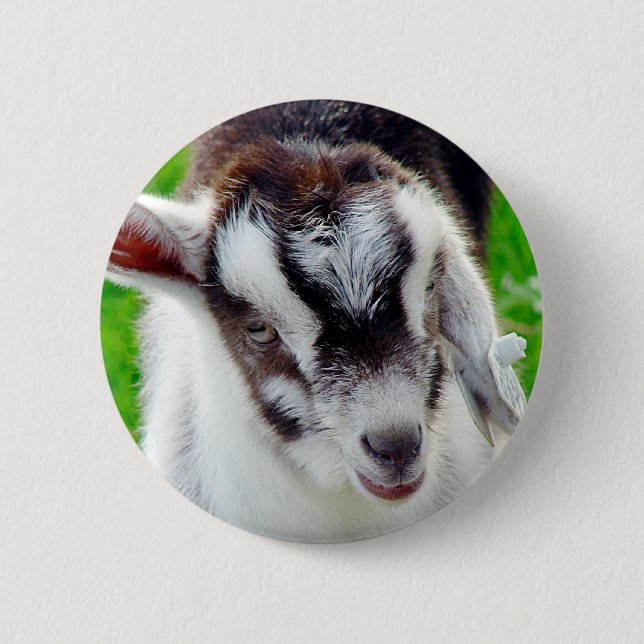 Badge Rond 5 Cm Joli Goat Kid (Devant)