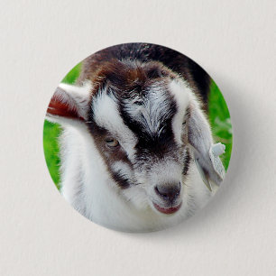 Badge Rond 5 Cm Joli Goat Kid
