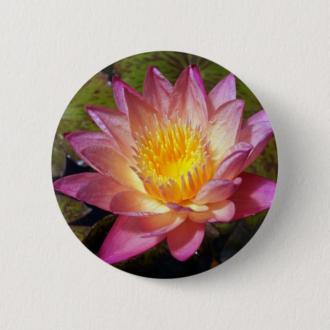 Badge Rond 5 Cm Jolie Lily D'Eau Rose (Devant)