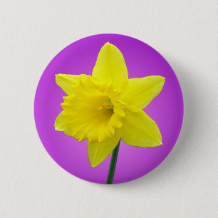Badge Rond 5 Cm Jonquille de Gallois - III - ronde