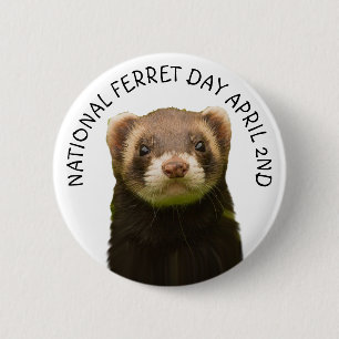 Badge Rond 5 Cm Jour National des Ferrets 2 Avril Bouton Fête