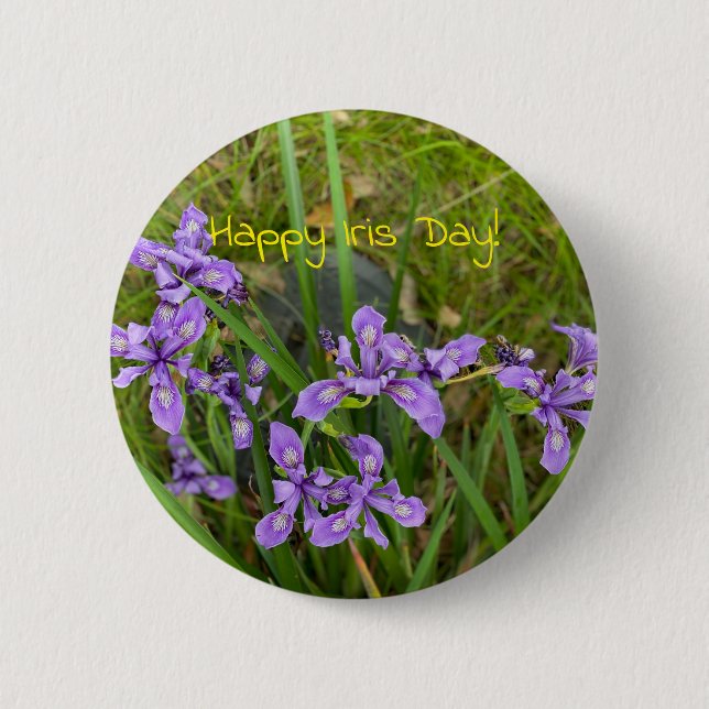 Badge Rond 5 Cm Joyeux Iris Day ! (Devant)