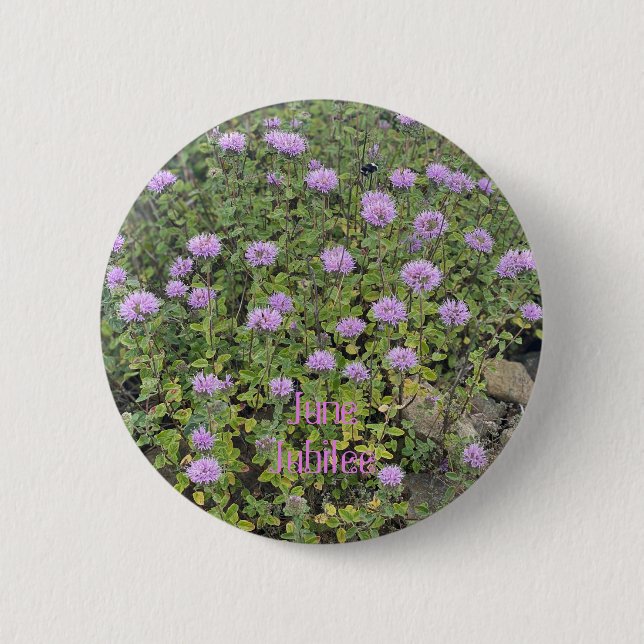 Badge Rond 5 Cm Juillet (Devant)