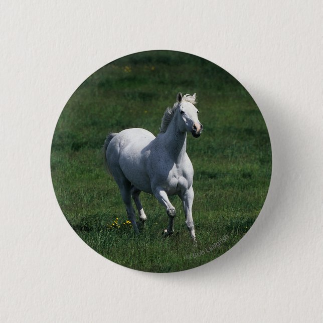 Badge Rond 5 Cm Jument de pur sang (Devant)