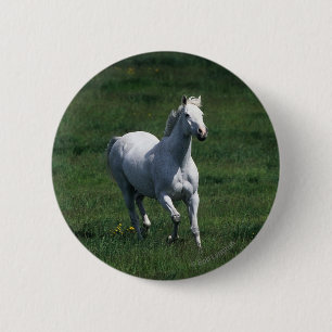 Badge Rond 5 Cm Jument de pur sang