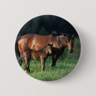Badge Rond 5 Cm Jument et poulain 1 de pur sang