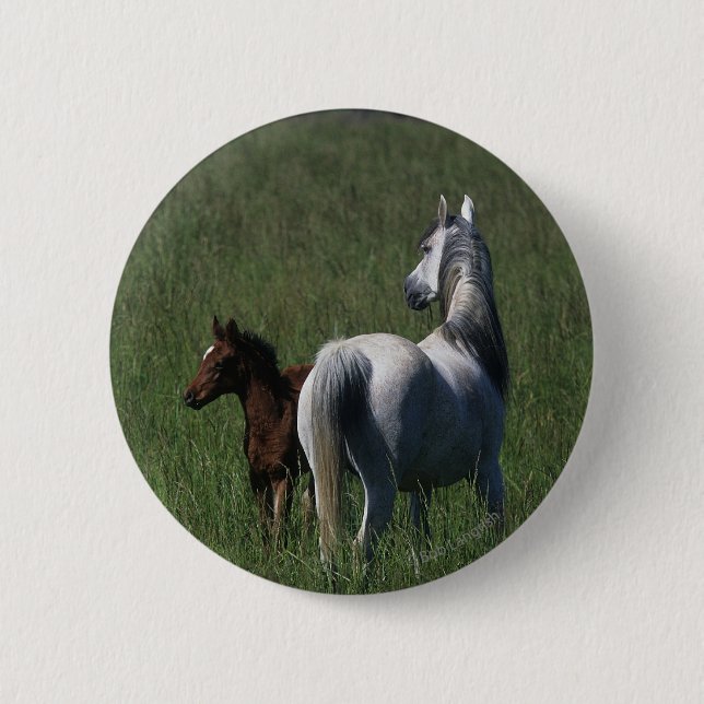 Badge Rond 5 Cm Jument et poulain arabes (Devant)