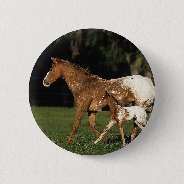 Badge Rond 5 Cm Jument et poulain d'Appaloosa (Devant)