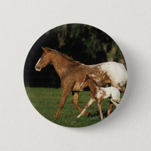 Badge Rond 5 Cm Jument et poulain d'Appaloosa