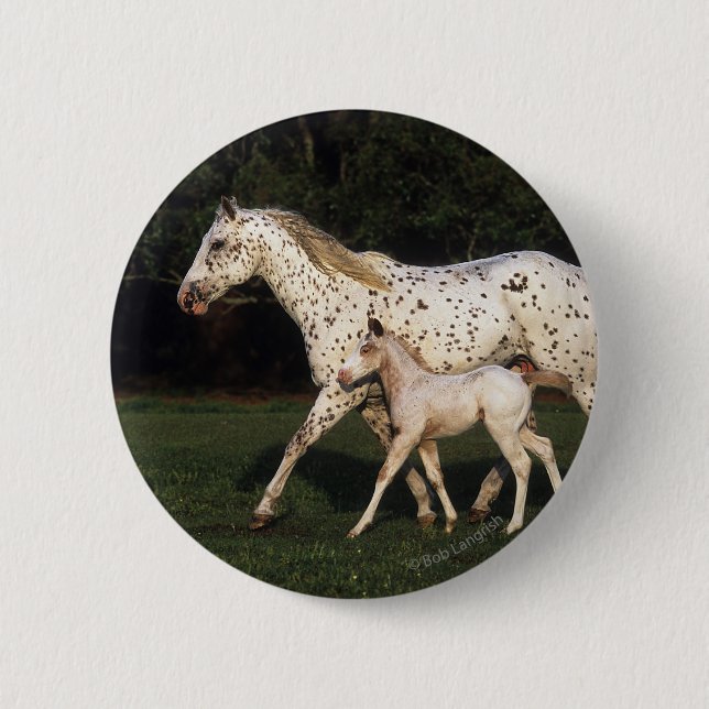 Badge Rond 5 Cm Jument et poulain d'Appaloosa dans le domaine (Devant)