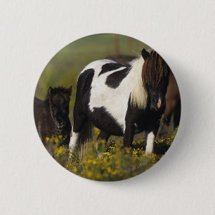 Badge Rond 5 Cm Jument et poulain miniatures en fleurs