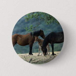 Badge Rond 5 Cm Jument et poulain sauvages de mustang