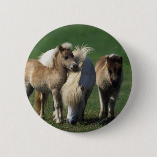 Badge Rond 5 Cm Jument et poulains miniatures 1