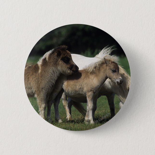 Badge Rond 5 Cm Jument et poulains miniatures 3 (Devant)