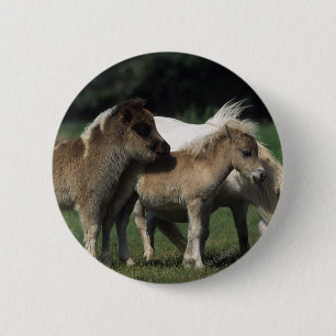 Badge Rond 5 Cm Jument et poulains miniatures 3