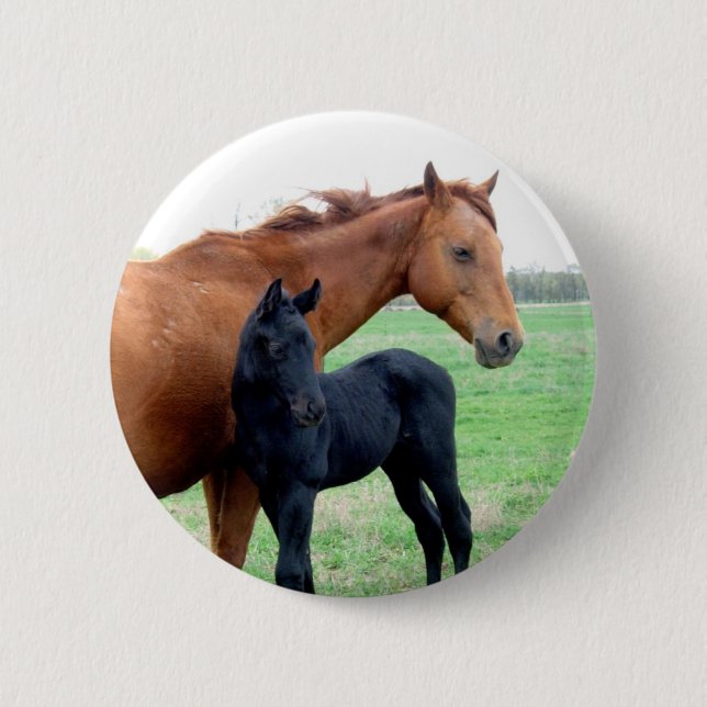 Badge Rond 5 Cm Jument et son colt (Devant)