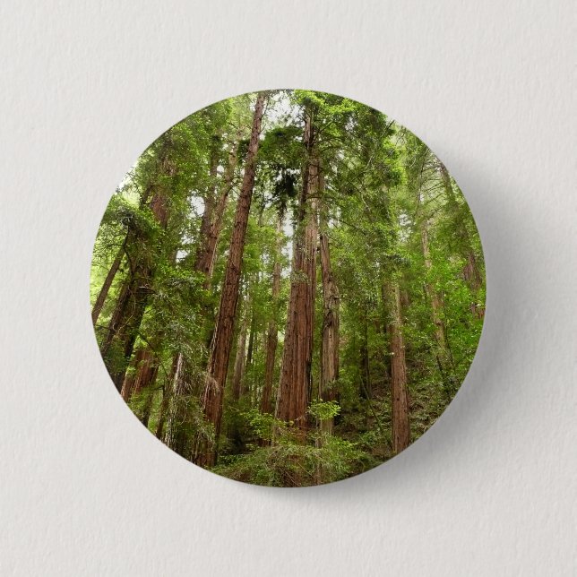 Badge Rond 5 Cm Jusqu'à Redwoods I au monument national de Muir Wo (Devant)
