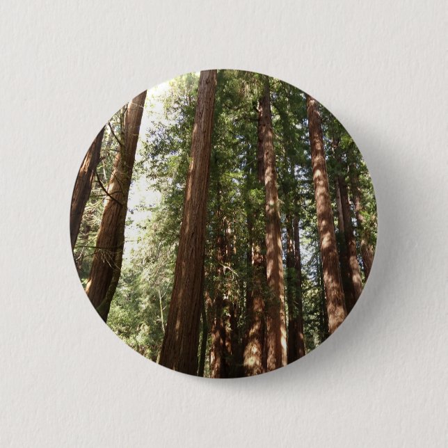 Badge Rond 5 Cm Jusqu'à Redwoods II au monument national de Muir W (Devant)