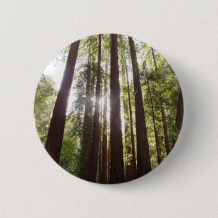 Badge Rond 5 Cm Jusqu'aux Séquoias le Matin