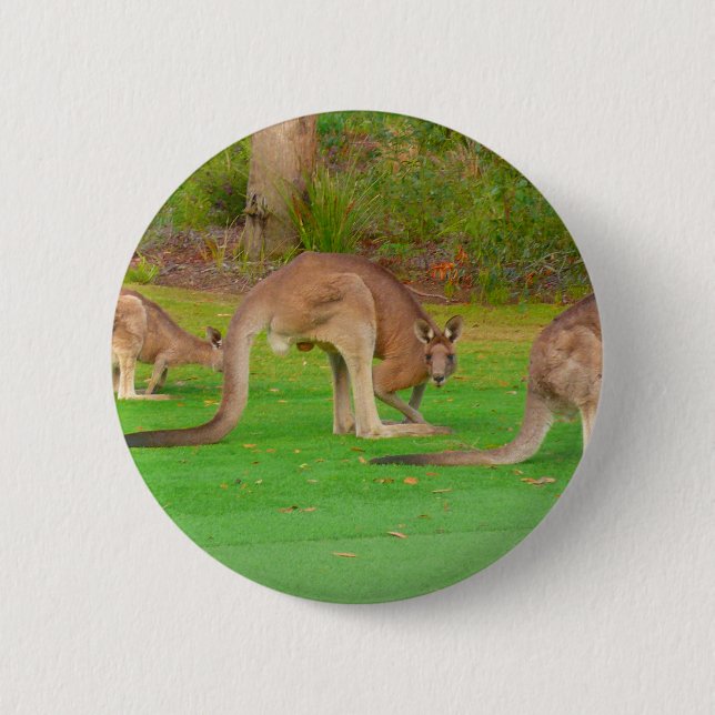 Badge Rond 5 Cm kanga (Devant)