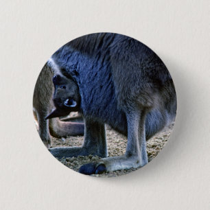 Badge Rond 5 Cm Kangourou bébé dans la poche de la mère - Australi