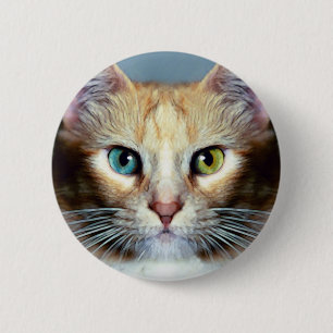 Badge Rond 5 Cm Katz