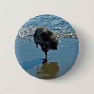 Badge Rond 5 Cm Keeshond Ballet Photographie - Joli chien d'origin