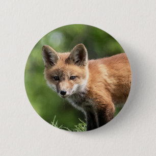 Badge Rond 5 Cm Kit de Fox rouge