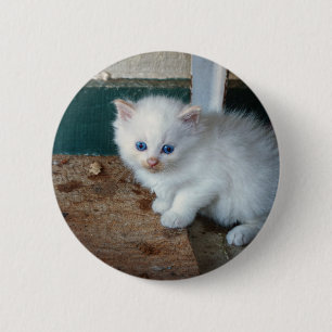 Badge Rond 5 Cm Kitten blanc