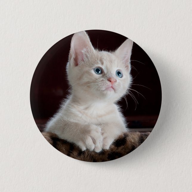 Badge Rond 5 Cm Kitten blanc vulnérable (Devant)