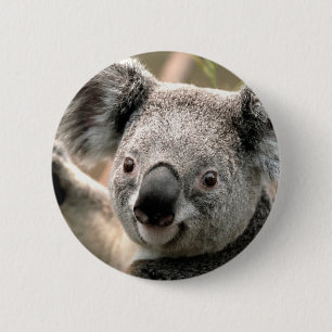 Badge Rond 5 Cm Koala