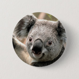 Badge Rond 5 Cm Koala