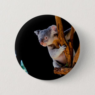 Badge Rond 5 Cm Koala Cute en gris arbre