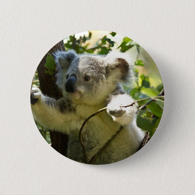 Badge Rond 5 Cm Koala cutie (Devant)