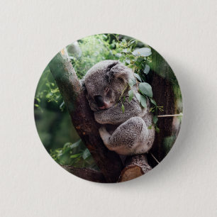 Badge Rond 5 Cm Koala de bébé de sommeil