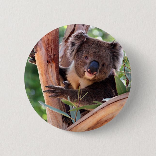 Badge Rond 5 Cm Koala victorien (Devant)