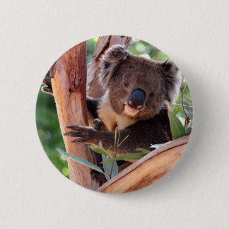 Badge Rond 5 Cm Koala victorien