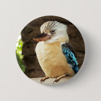 Badge Rond 5 Cm Kookaburra