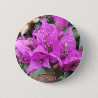 Badge Rond 5 Cm La bouganvillée rose fleurit le bouton