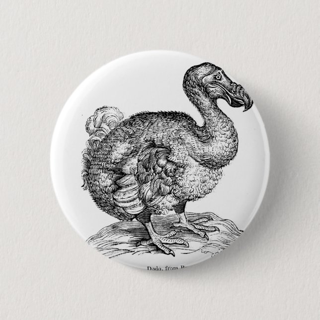 Badge Rond 5 Cm La dronte (Devant)