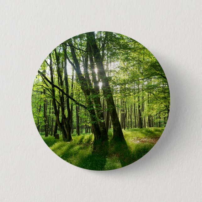 Badge Rond 5 Cm La forêt au printemps (Devant)