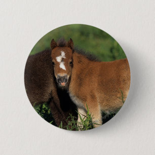 Badge Rond 5 Cm La miniature pouline dans l'herbe