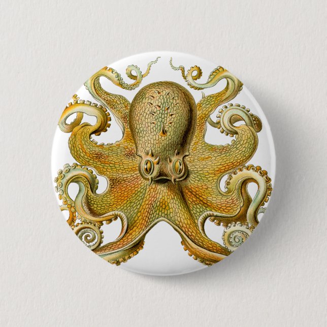 Badge Rond 5 Cm La pieuvre d'Ernst Haeckel (Devant)