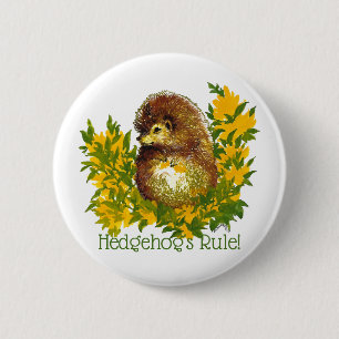 Badge Rond 5 Cm La Règle de Hérisson Veste de chemise en Lapel Fan