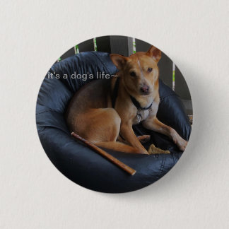 Badge Rond 5 Cm La vie de chien
